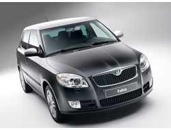 20.01 Skoda Fabia,Fabia Sport 2007 - 2010 all картера и КПП