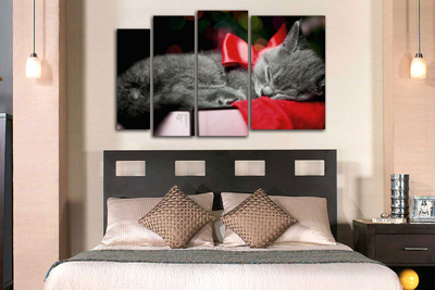 Модульная картина "Кот с красным бантиком"