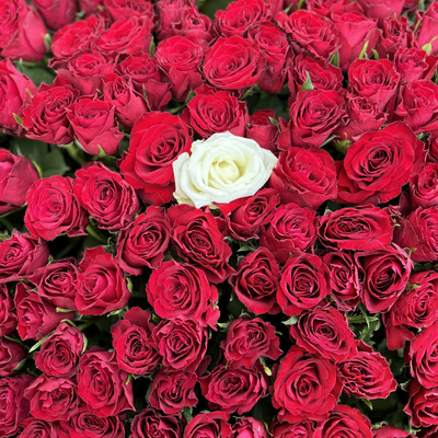 501 красная роза в корзине