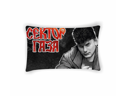 Подушка Сектор Газа, Юрий Хой №44