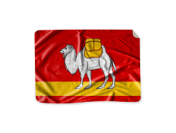 Плед Челябинская Область