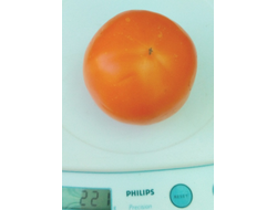 Томат Граф из Эджкомба (Earl Of Edgecombe)