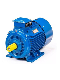 Электродвигатель 5АИ 200M2 (37 кВт) IM 1001