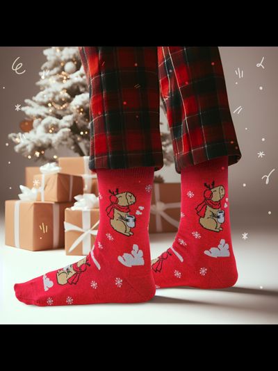 Капибары любят какао 38-41