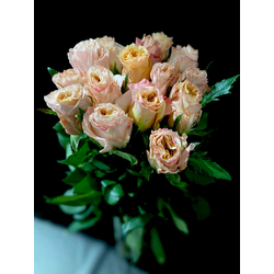 Роза Эквадор  70 см. 15 шт