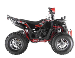 Квадроцикл для взрослого WELS 200cc EVO