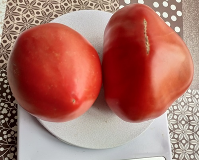 Томат Страстное сердце Энтони (Anthony's Passionate Heart)