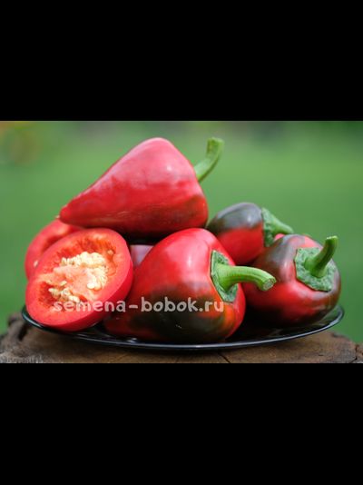 Перец  сладкий Леся, 10 шт