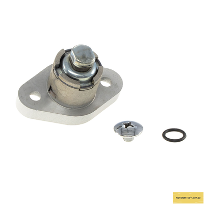 Натяжитель цепи ГРМ KAYO двиг. ZS CB250D-G (воздушный) (P060834) CN