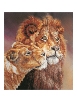 Набор для вышивания PANNA Живая картина Львы, JK-2095