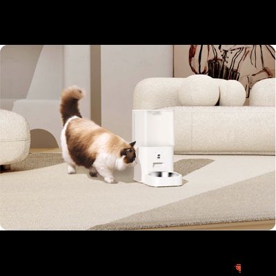 Кормушка для кошек с камерой HHOLOVE Automatic Cat Feeder