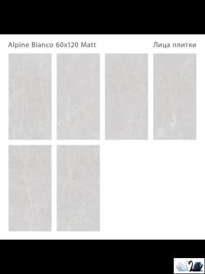 Керамогранит Staro Silk Alpine Bianco 60х120 см матовый
