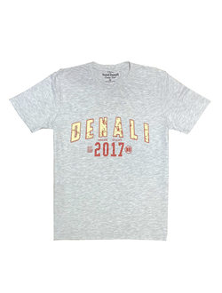 Мужская футболка EST от бренда NORD DENAL Grey melange