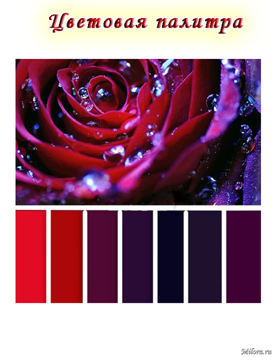 Палитра красителя Биокон BCA-24