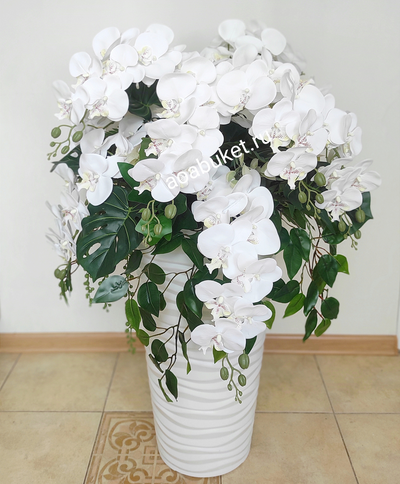 Композиция Орхидея белая № ОРO28