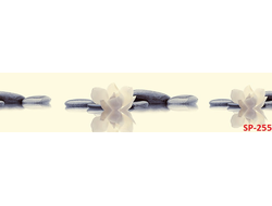 SP-255 Глянцевая стеновая панель ALBICO  2800*610*6мм.