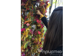 Проект - "от Сезона к Сезону"