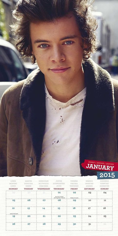One Direction Official Календарь 2015