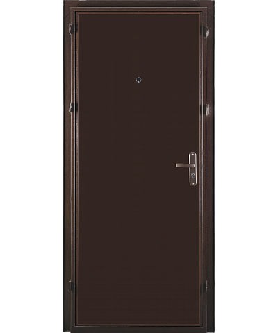 Дверь СПЕЦ PRO BMD