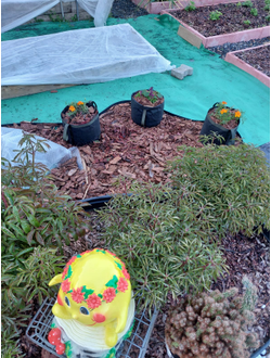 Кашпо 21 литр усиленное. Умный тканевый горошок Гроубэг