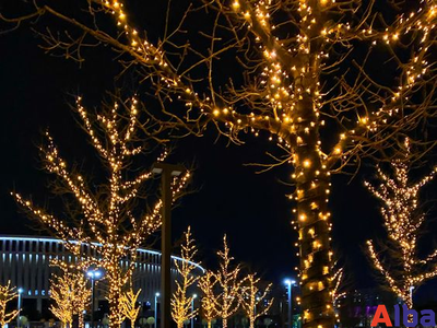 Гирлянда-нить 10 м, 220В, ТЕПЛЫЙ БЕЛЫЙ, IP65, провод ПВХ, с мерцанием