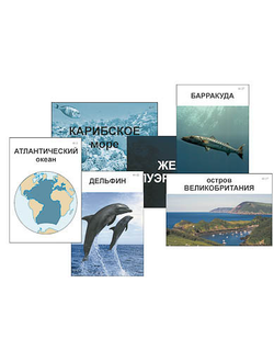 Модель-аппликация "Океаны. Знакомство" (ламинированная)