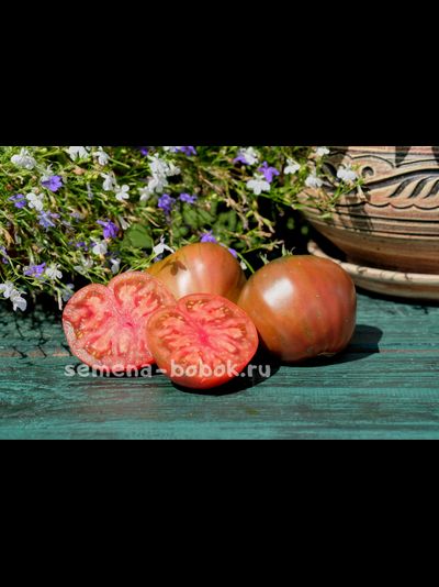 Томат Тундра (Tundra), 10 шт