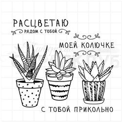 Набор штампов с кактусами Из жизни колючек. Для открыток в стиле КАС