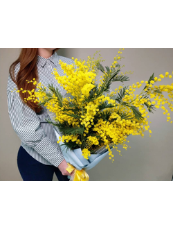 Букет Весенняя мимоза