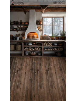 Фотофон виниловый «В избе»