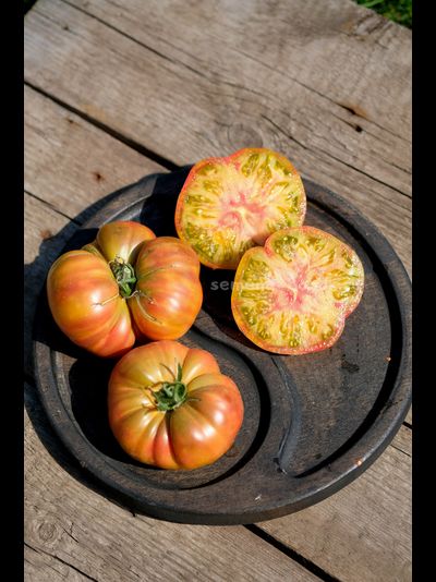 Томат Ярсон 7/1 (Jarson 7/1), 10 шт