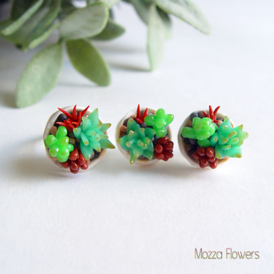 Комплект "Загадочные суккуленты". ЕСТЬ В НАЛИЧИИ.