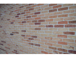 Кирпич ручной формовки троицкое 215х102х65