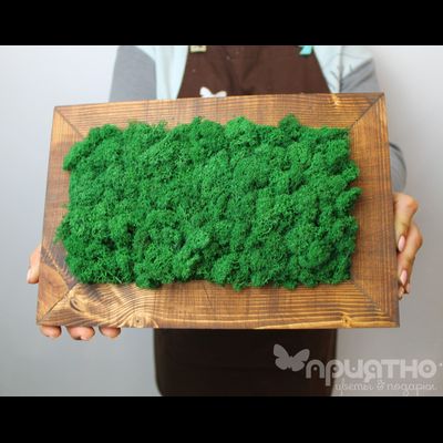 ЖИВАЯ ЭКО-КАРТИНА 1046