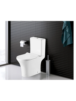 Унитазы и цветные тюльпаны Santeri Cersanit Rosa Santek Azario Оскольская керамика Санита люкс