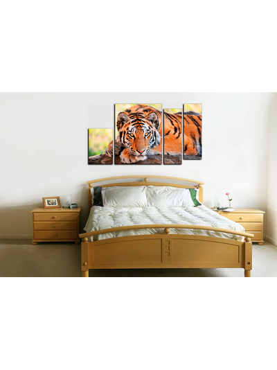 Модульная картина "Отдых тигра"