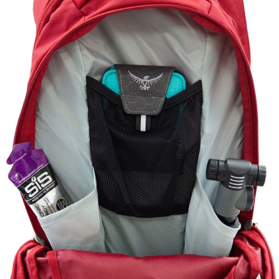 Рюкзак Osprey Raptor 10 Cedar Green