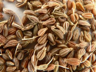 Анис обыкновенный (Pimpinella anisum) семена (10 мл) - 100% натуральное эфирное масло