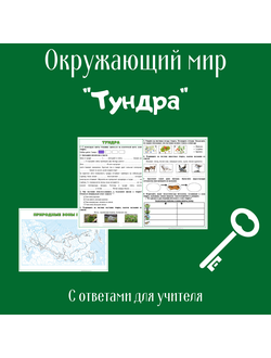 Рабочий лист. 4 класс. "Тундра"