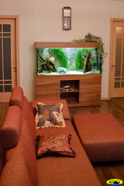 Аквариумный прямоугольный комплекс 300 (Тип тумбы 10)