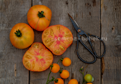 Томат Dwarf Confetti (Гном Конфетти), 10 шт