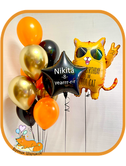 Рыжий кот и 9 Шариков на грузиках