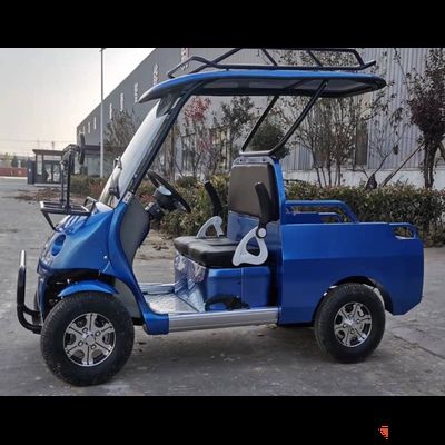 Гольфкар GreenCamel A2P 52 Ah 12V Синий