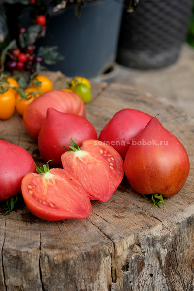 Томат Клубничный Сержант, 10 шт