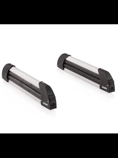 ЛЫЖНЫЙ БАГАЖНИК