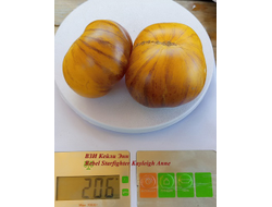 Томат Восставший Звездный Истребитель Кэйли Энн (Rebel Starfighter Kayleigh Anne)