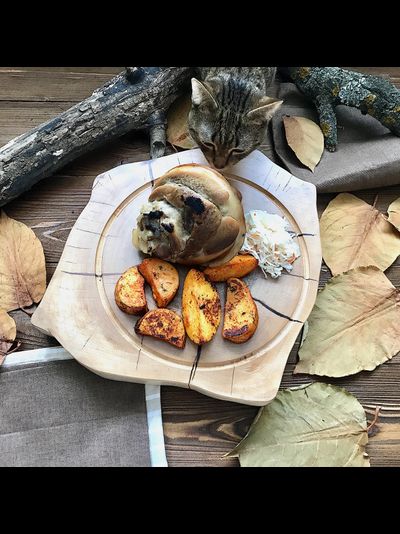 спил со стеклянным клошем XL