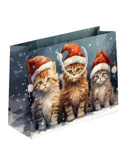 Пакет подарочный "Новогодние шапочки", 21х30х14