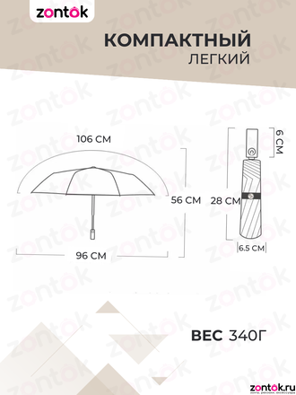 Зонт складной прозрачный автомат с белым кантом