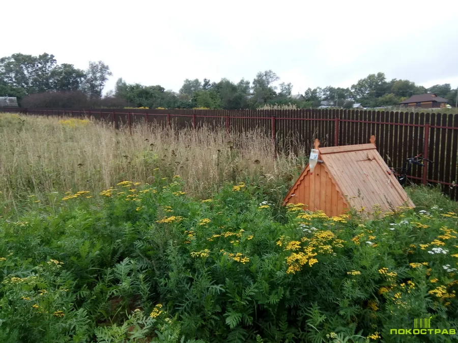 Исходное состояние